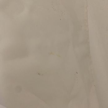 Lydia Mountain Lodge & Log Cabins - Signs of mold on the shower curtain - Hotels Near Me - Stanardsville, Virginia Lydia Mountain Lodge & Log Cabins - Signs of mold on the shower curtain - Hotels Near Me - Stanardsville, Virginia