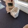 Photo of Rooms To Go Kids