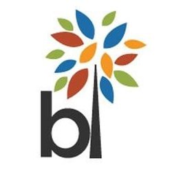 Behavioral Innovations - BI Logo