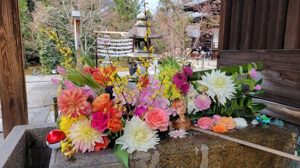 Shōrin-ji Temple by null