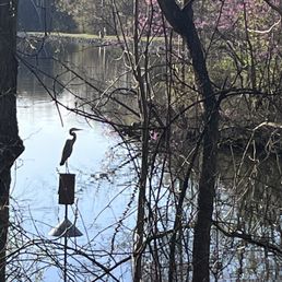 The crane The crane