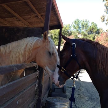 Dickson Ranch - Horse Boarding Near Me - Woodacre, California Dickson Ranch - Horse Boarding Near Me - Woodacre, California