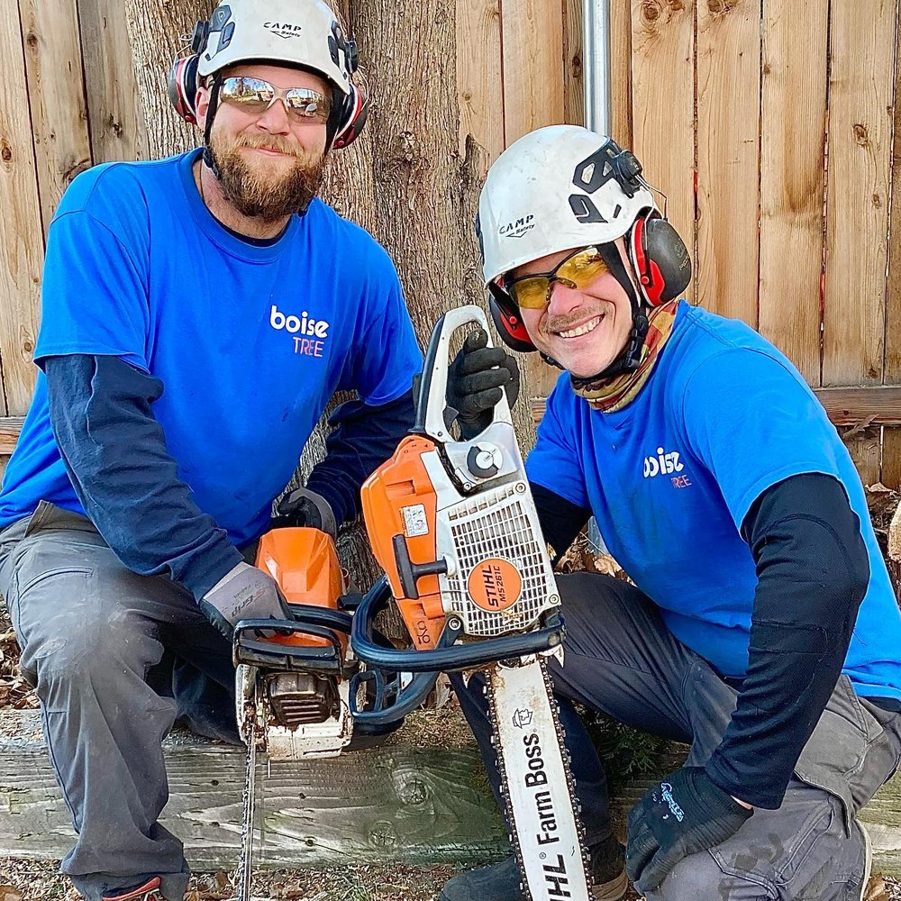 Boise Tree/SavATree - tree service in Boise, ID