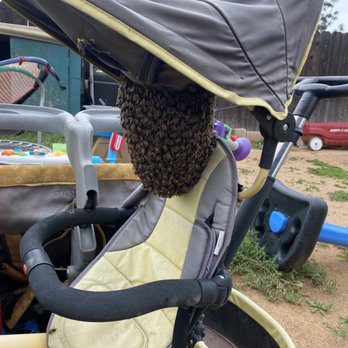 Bee Wranglers - Pest Control Near Me - Riverside, California