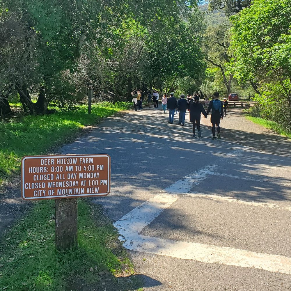 Deer Hollow Farm - Walking to farm - Kids Activities Near Me - Cupertino, California