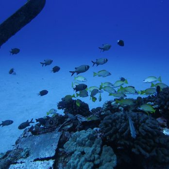 Kaimana Divers - Scuba Diving Near Me - Honolulu, Hawaii
