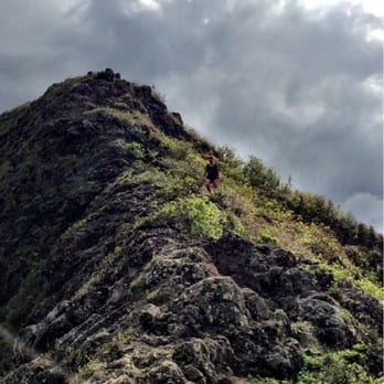 Pu'u Hapapa Trail - Expect some climbin' - Hiking Near Me - Wahiawa, Hawaii Pu'u Hapapa Trail - Expect some climbin' - Hiking Near Me - Wahiawa, Hawaii