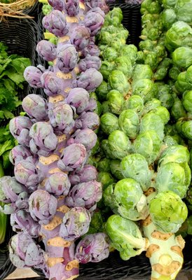 Caradonna Farms by null