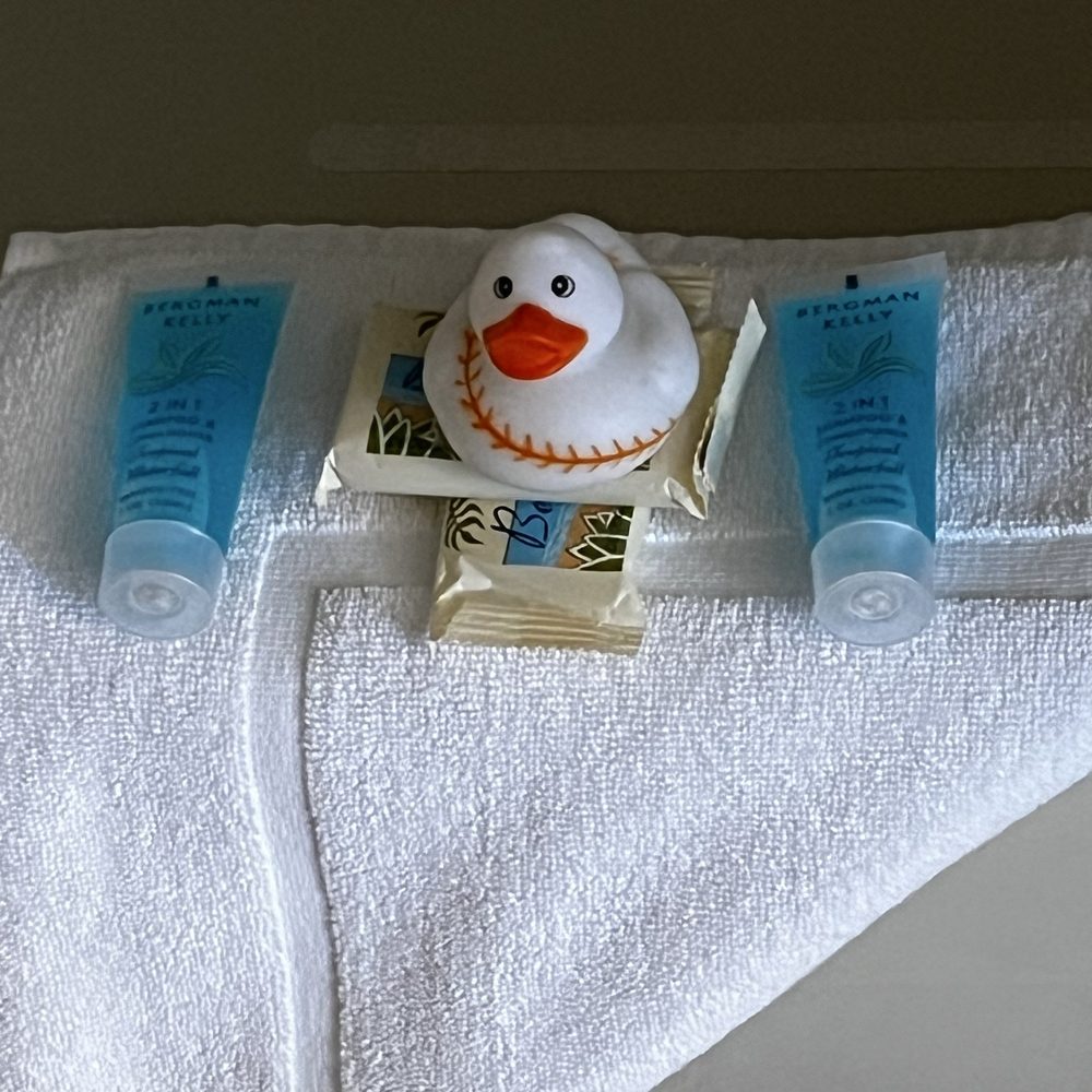 Strawberry Hill Seaside - bathroom duckie - Hotels Near Me - Rockport, Maine