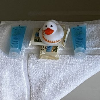 Strawberry Hill Seaside - bathroom duckie - Hotels Near Me - Rockport, Maine Strawberry Hill Seaside - bathroom duckie - Hotels Near Me - Rockport, Maine