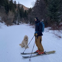 Sports Den - NEW SKIS AND BOOTS
