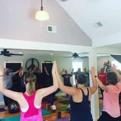 The Studio - Rocking our Community Tree!