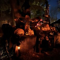 Trail of Terror