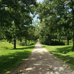 MacLennan Park Trail