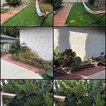 Jose Rivera - Before/after yard cleanup. - Gardeners Near Me - West Covina, California Jose Rivera - Before/after yard cleanup. - Gardeners Near Me - West Covina, California