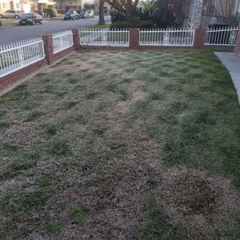 Armandos Gardening Service - A waste of money - Landscaping Near Me - Downey, California Armandos Gardening Service - A waste of money - Landscaping Near Me - Downey, California