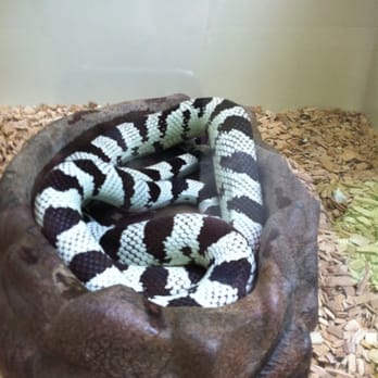 La Ferme Tropicale - Pet Stores Near Me - Paris, 75