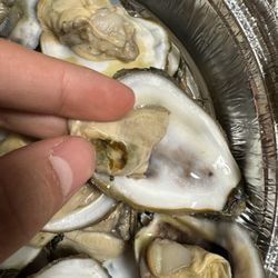 Hacienda Vieja - Oyster