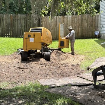 Alpha Tree Service 843 - Tree Services Near Me - North Charleston, South Carolina Alpha Tree Service 843 - Tree Services Near Me - North Charleston, South Carolina