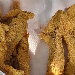 Sassy's Kitchen - Catfish and Buffalo fish