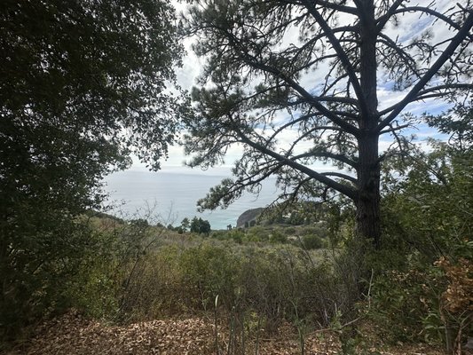 New Camaldoli Hermitage by null