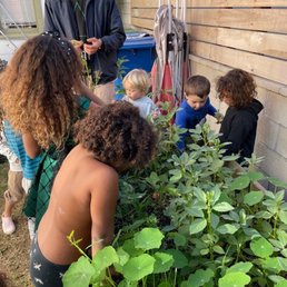 Gardening