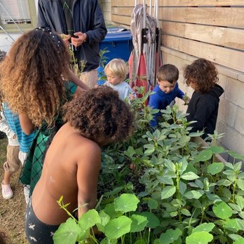The Venice Garden Preschool - Gardening - Preschools Near Me - Venice, California