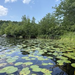 Dive Winnipesaukee