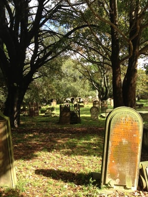 Camperdown Cemetery by null