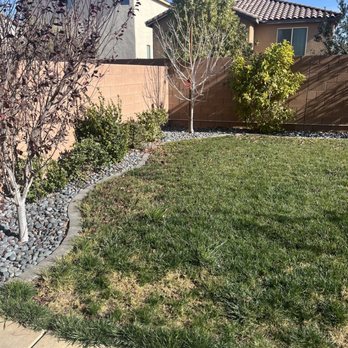 Big Bully Turf - Before - Landscaping Near Me - Henderson, Nevada Big Bully Turf - Before - Landscaping Near Me - Henderson, Nevada