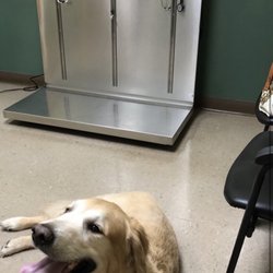Crossroads Veterinary Services