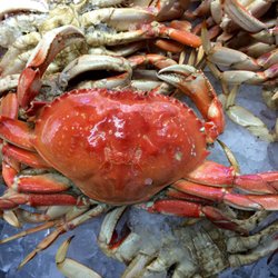 Soultran's Seafood - Dungeness Crab