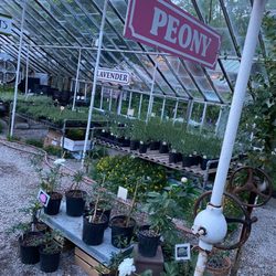 Michler's Florist, Greenhouses & Garden Design