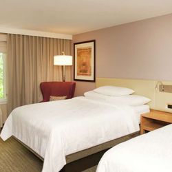 Hilton Garden Inn Seattle/Renton - Guest room