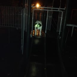 Our doggie on the jungle gym Our doggie on the jungle gym