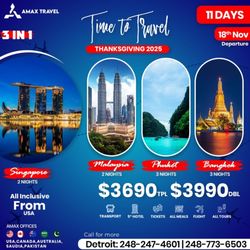 AMAX TRAVEL DETROIT