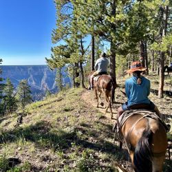 Grand Canyon Trail Rides - Trail looking towards the rim