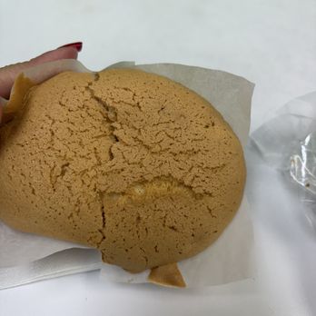 Spongies Cafe - Original Spongies - Cafes Near Me - New York, New York Spongies Cafe - Original Spongies - Cafes Near Me - New York, New York