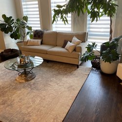Premier Carpet Service - Premier my carpet looks great