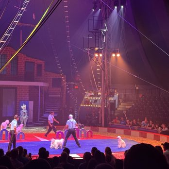 Circus Flora - Performing Arts Near Me - Saint Louis, Missouri