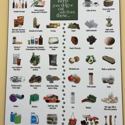 Baldwin Animal Hospital - Here's a picture of what foods, dogs and cats can, and cannot eat- very helpful information
