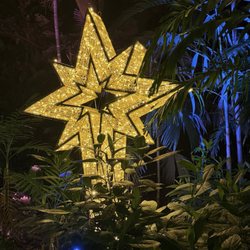 Night of lights 2025