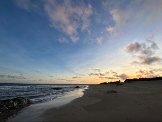 Chateau Beach Resort by null