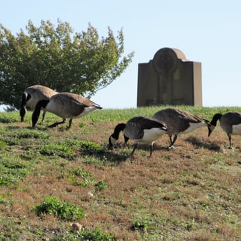 Saint Peter the Apostle Cemetery - The geese like it - Funeral Services & Cemeteries Near Me - Provincetown, Massachusetts Saint Peter the Apostle Cemetery - The geese like it - Funeral Services & Cemeteries Near Me - Provincetown, Massachusetts