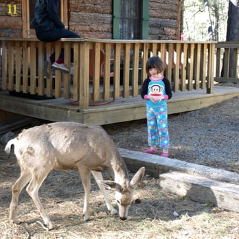 Idle Hour Lodge - Daughter Chloe feeding the deer - Guest Houses Near Me - Ruidoso, New Mexico Idle Hour Lodge - Daughter Chloe feeding the deer - Guest Houses Near Me - Ruidoso, New Mexico