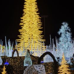 Enchant Christmas