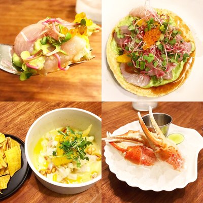 Ceviche Project by null Ceviche Project by null