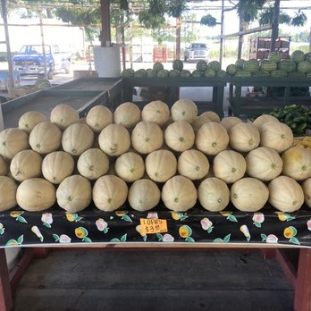 Pee Dee Farmers Market - Nice Cantaloupe. - Farmers Market Near Me - Florence, South Carolina Pee Dee Farmers Market - Nice Cantaloupe. - Farmers Market Near Me - Florence, South Carolina