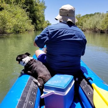 SOAR Inflatables & Russian River Adventures - Daddy and his dog roaming the river. - Rafting/Kayaking Near Me - Healdsburg, California