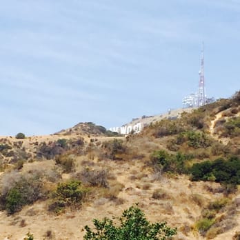 The Giving Tree - Another landmark! The wood in Hollywood! You're almost there buddy! - Hiking Near Me - Los Angeles, California The Giving Tree - Another landmark! The wood in Hollywood! You're almost there buddy! - Hiking Near Me - Los Angeles, California